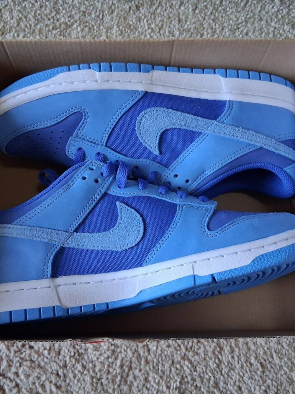 Nike Dunk Low SE Game Royal University Blue Big Kids' (GS) Sz 7Y